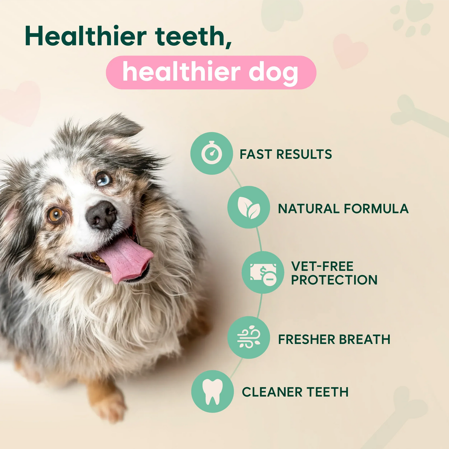 Dental Spray - Stop Bad Breath & Tartar at the Source