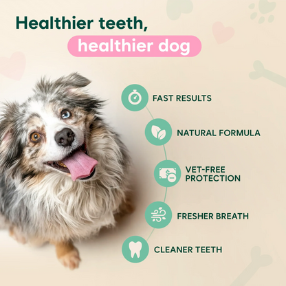 Dental Spray - Stop Bad Breath & Tartar at the Source