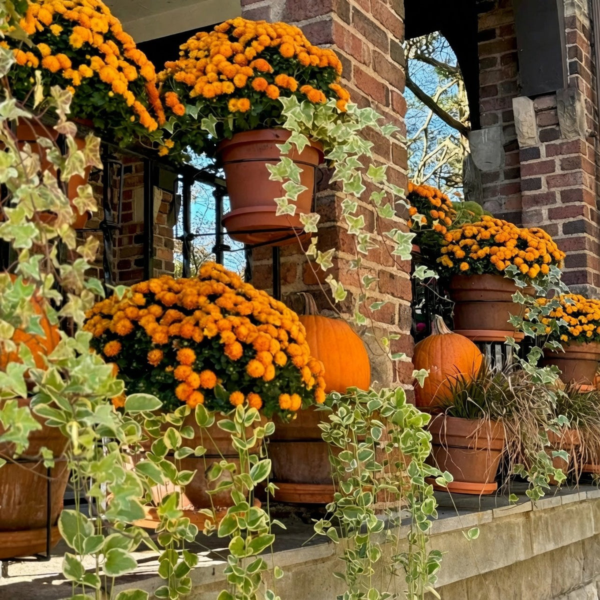 Floating Railing Hanging Pot Holder