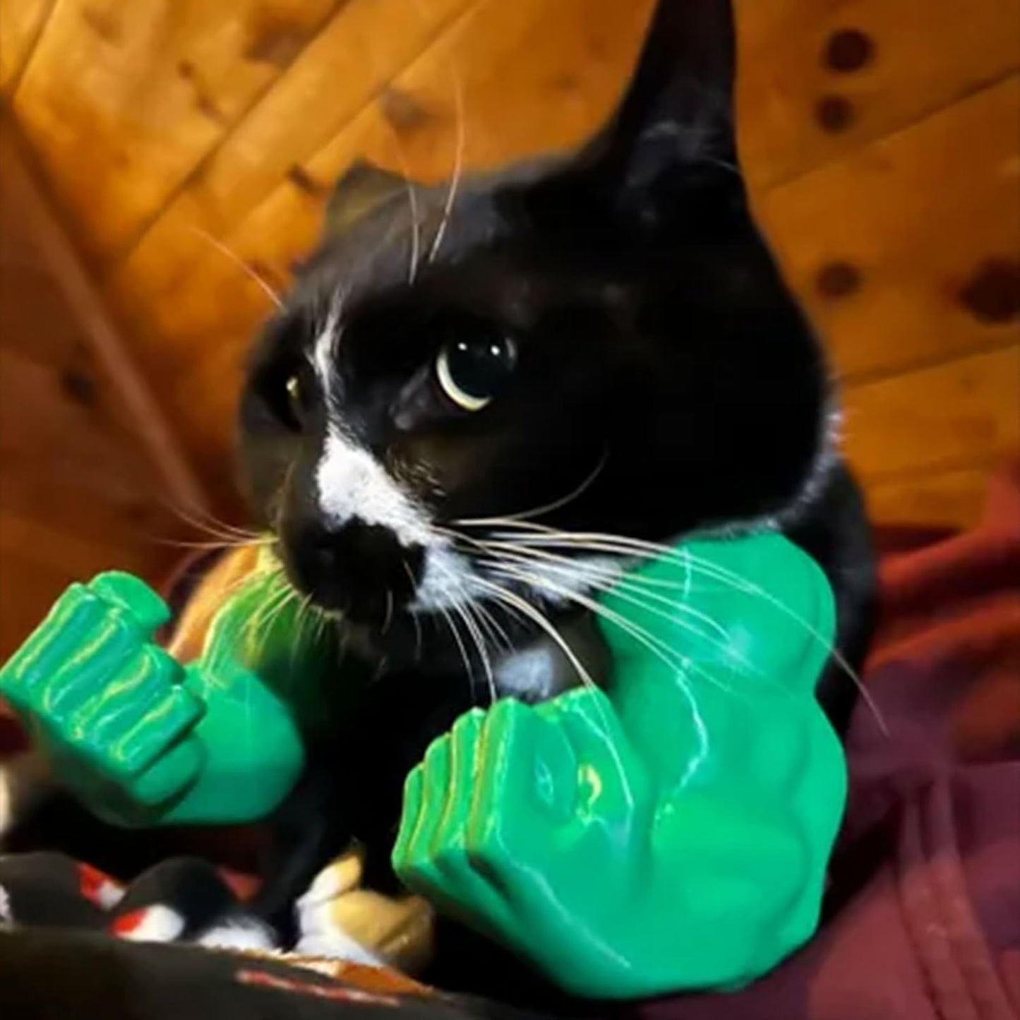 Disfraz de Brazos Musculosos para Gatos