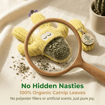 🔥5pcHandmade Soft Cactus Kitten Chew Toys with Natural Catnip