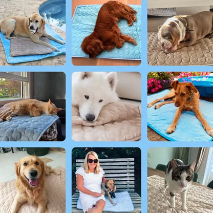🧊Dog Cooling Mat (4x more effective)