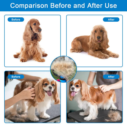 ⏰🔥 Professional Pet Shedding Comb – Effectively Removes Loose Hair 🐾✅