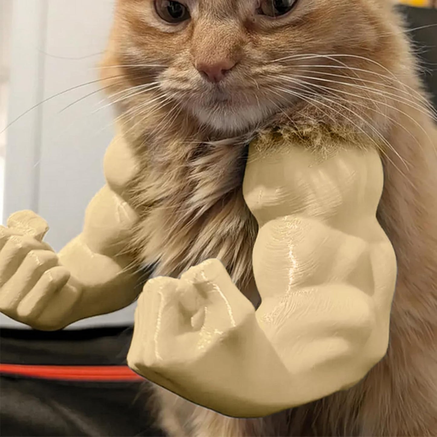 Disfraz de Brazos Musculosos para Gatos