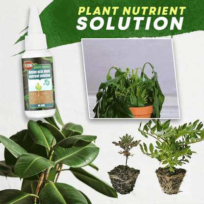 🌿 Plant Food Supplement for Greener Leaves, Blooms & Garden Care