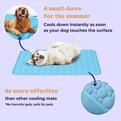 🧊Dog Cooling Mat (4x more effective)
