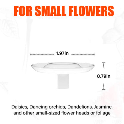 🌷Soporte para Arreglos Florales Flotantes Creativos 2026