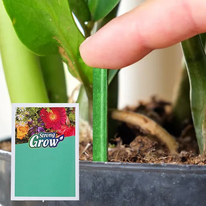 🌱 Long-lasting plant food sticks – balanced NPK for roots, leaves & blooms!  🌿✨
