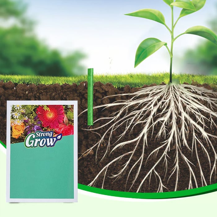 🌱 Long-lasting plant food sticks – balanced NPK for roots, leaves & blooms!  🌿✨
