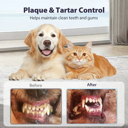 Dental Spray - Stop Bad Breath & Tartar at the Source