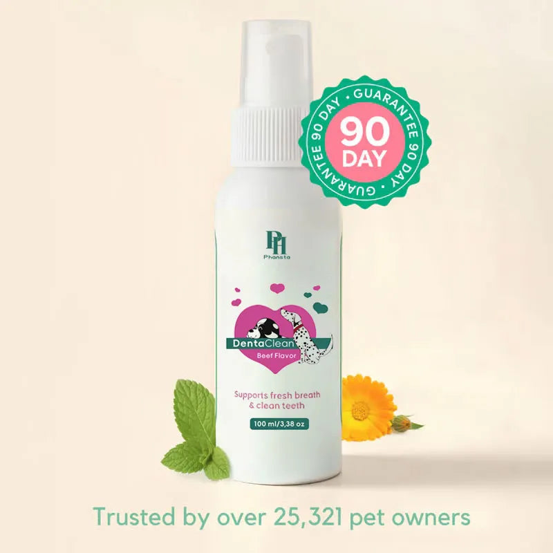 Dental Spray - Stop Bad Breath & Tartar at the Source
