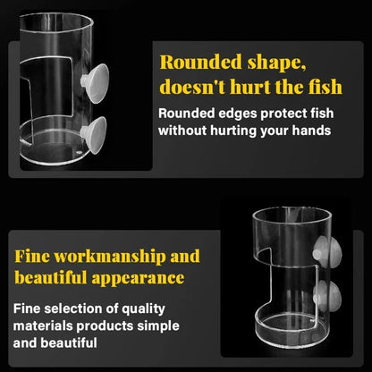 Aquarium Feeding Ring and Tray