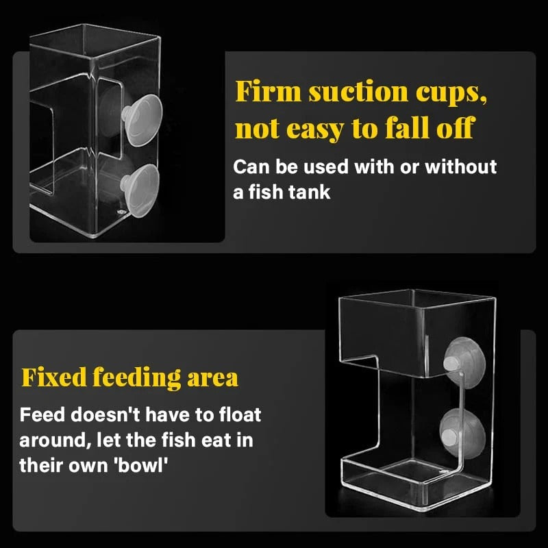 Aquarium Feeding Ring and Tray
