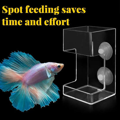 Aquarium Feeding Ring and Tray