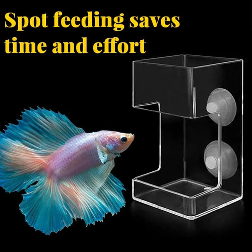Aquarium Feeding Ring and Tray