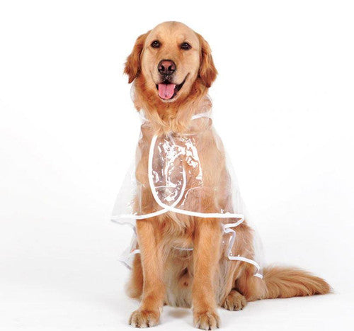 💥2026 HOT SALE💞50K+ SOLD! ✨ 50% OFF!💥Transparent Raincoat For Dog