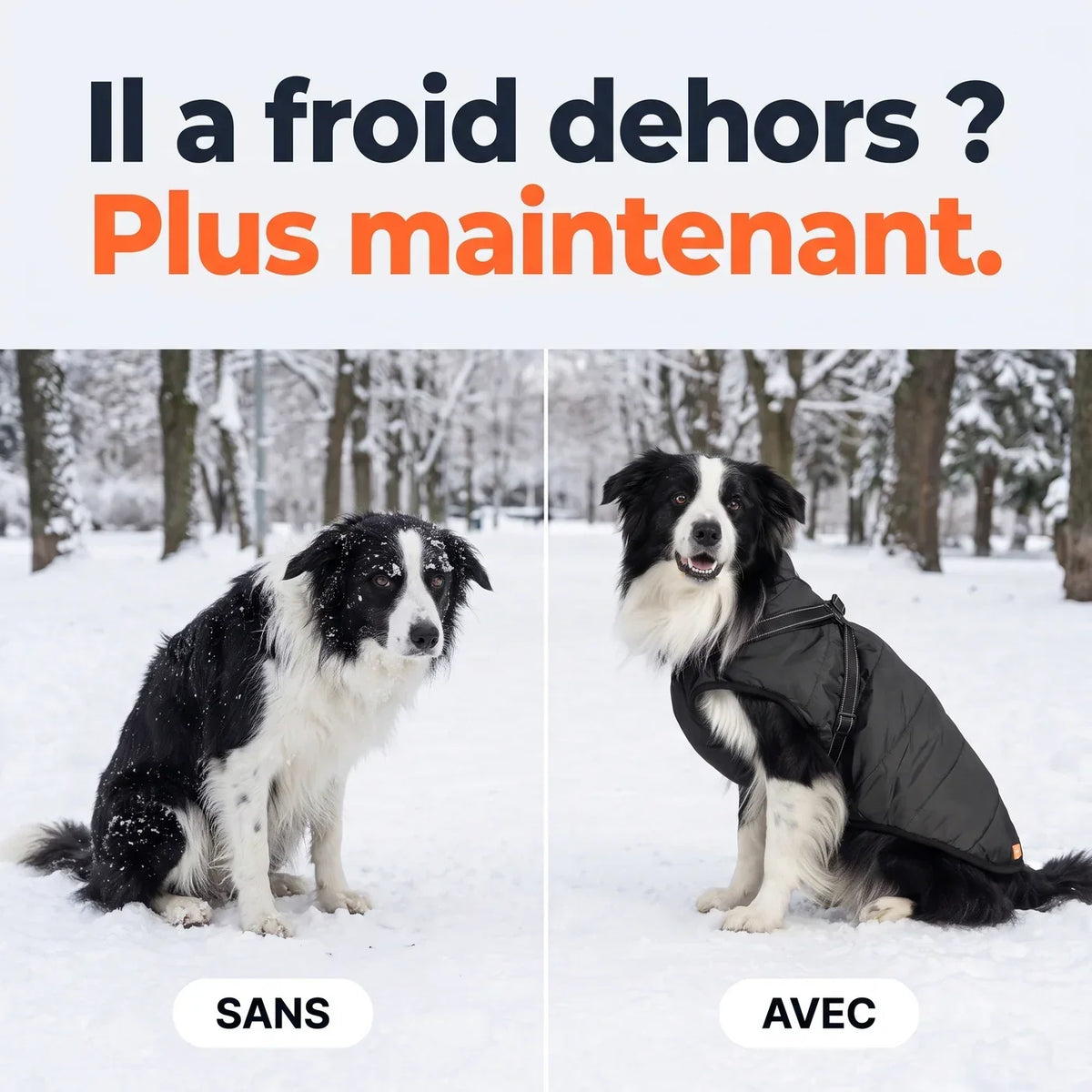 Il a froid dehors ? Plus maintenant.