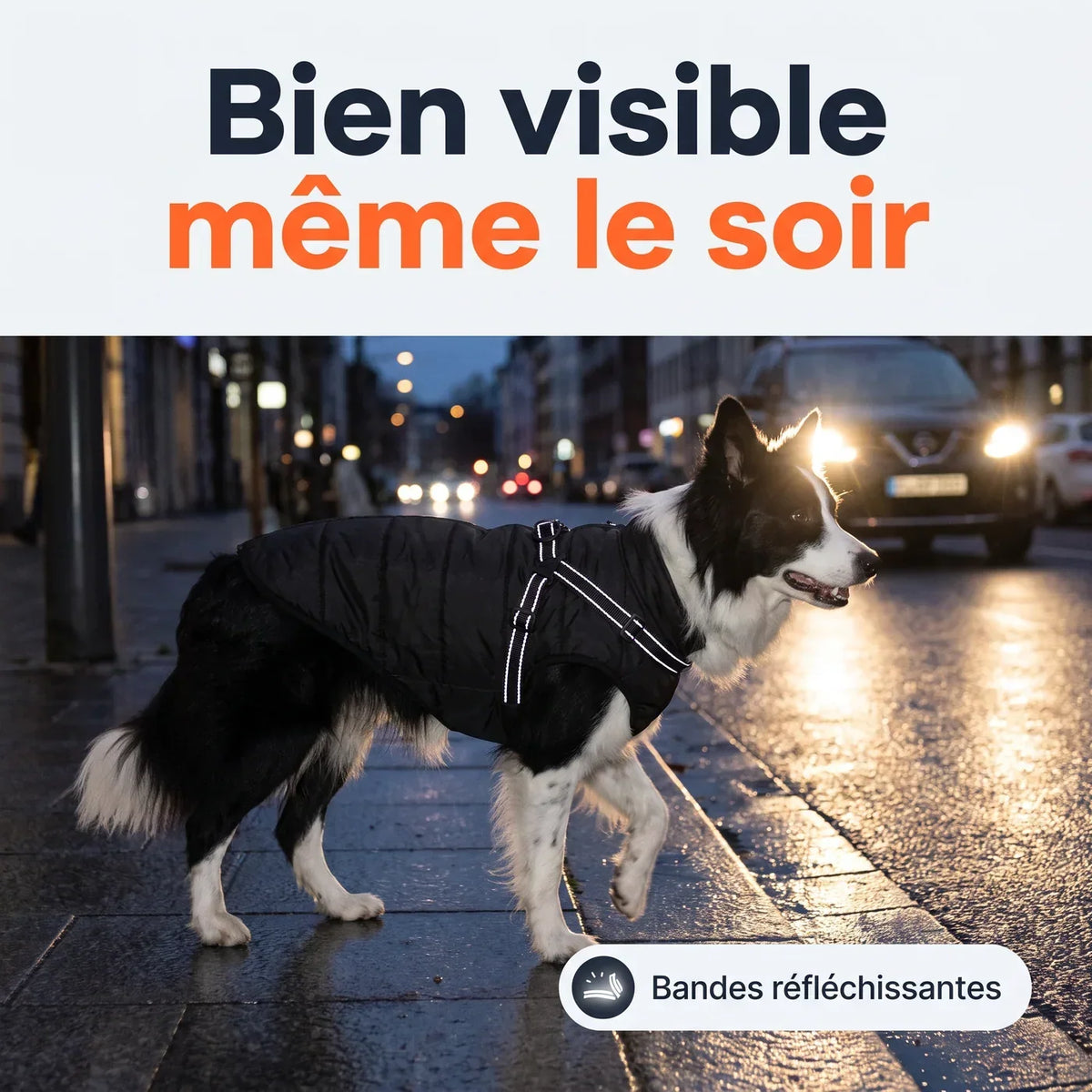 Bien visible même le soir