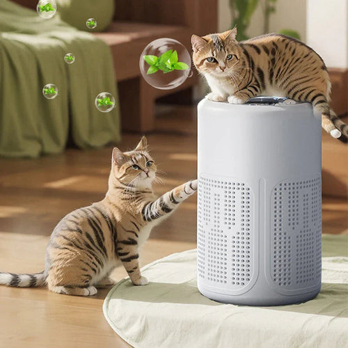 ⏳Time-Limited Special⏰Home Air Purifier – Multi-Layer Filter, Quiet, Energy-Efficient 🌱