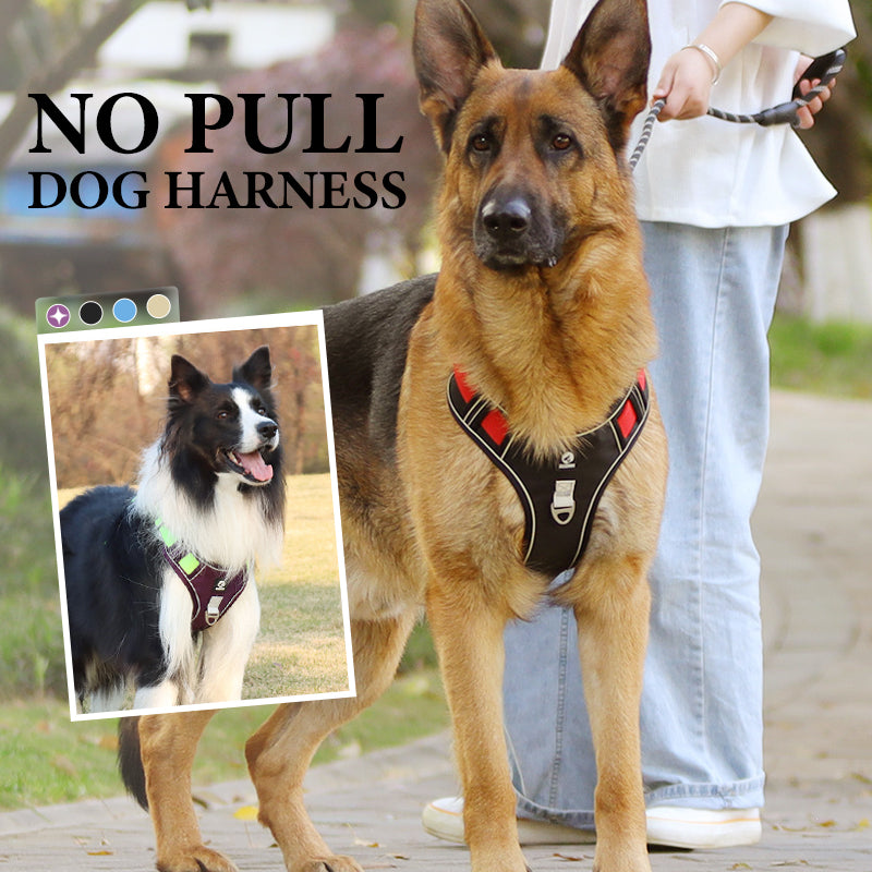 🐶 LED No-Pull Dog Harness Kit with Leash – Safer, More Comfortable Walks Day & Night