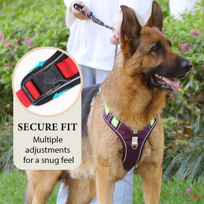 🐶 LED No-Pull Dog Harness Kit with Leash – Safer, More Comfortable Walks Day & Night