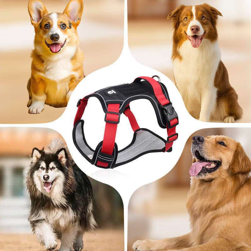 🐶 LED No-Pull Dog Harness Kit with Leash – Safer, More Comfortable Walks Day & Night