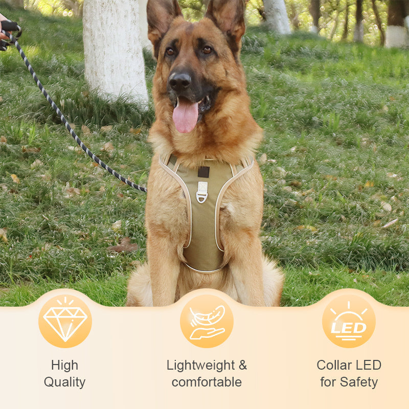 🐶 LED No-Pull Dog Harness Kit with Leash – Safer, More Comfortable Walks Day & Night