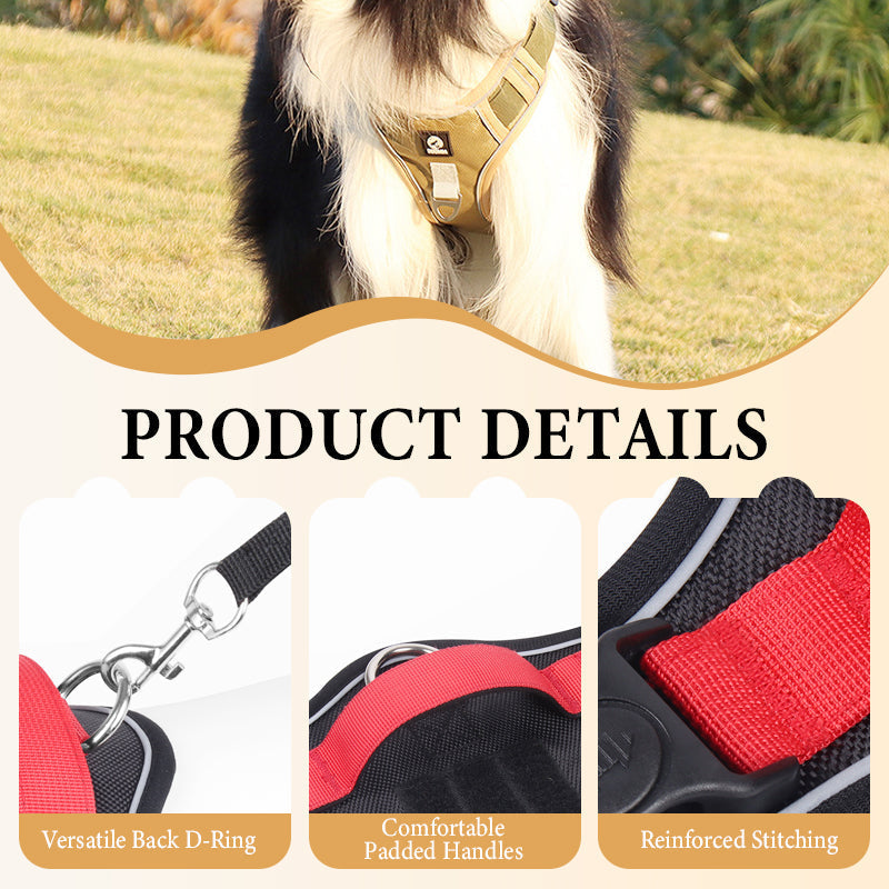 🐶 LED No-Pull Dog Harness Kit with Leash – Safer, More Comfortable Walks Day & Night