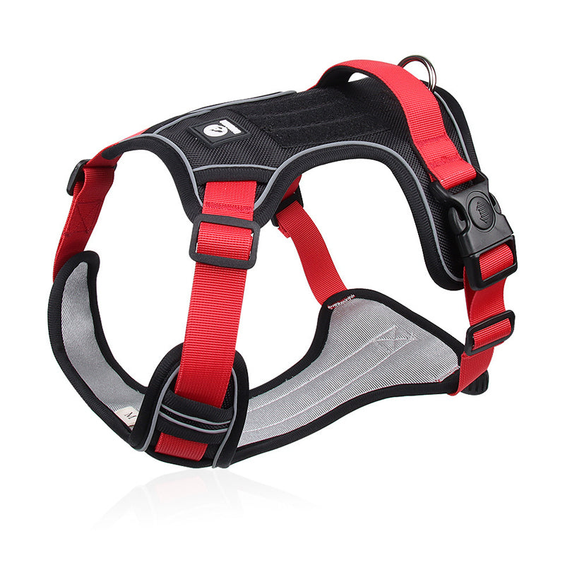 🐶 LED No-Pull Dog Harness Kit with Leash – Safer, More Comfortable Walks Day & Night