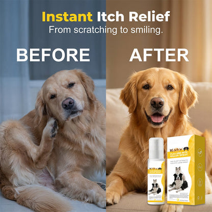 🔥Selling Fast – 50% OFF！🎁Tick Season is Here🕷🛡️Mild Formula Pet Pest Repellent Spray