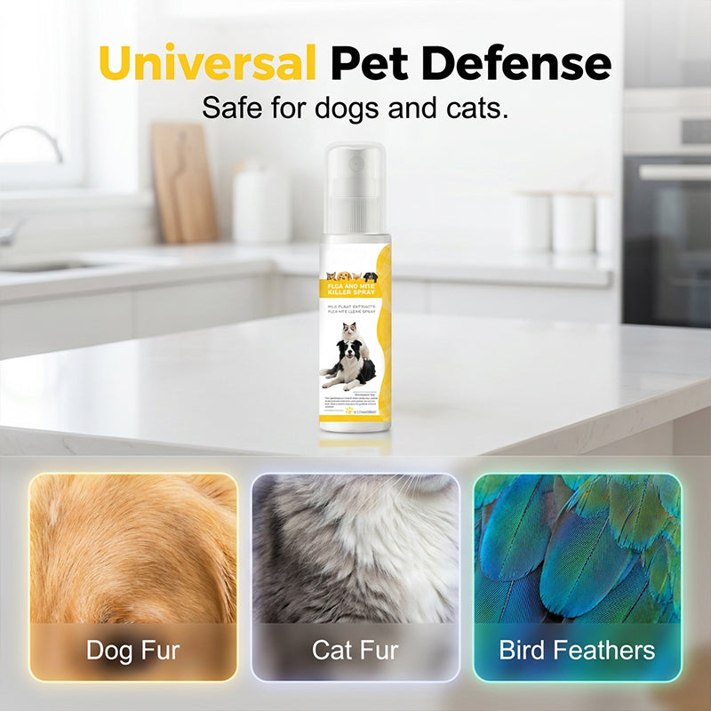 🔥Selling Fast – 50% OFF！🎁Tick Season is Here🕷🛡️Mild Formula Pet Pest Repellent Spray