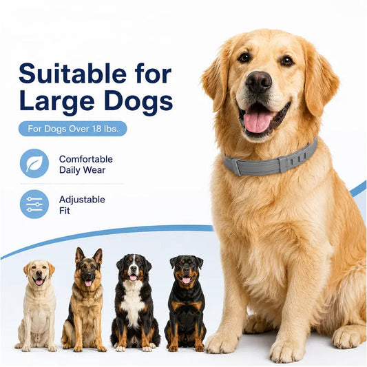 Collares ajustables antipulgas y garrapatas para perros y gatos