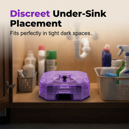 Reusable Effective Roach Trap