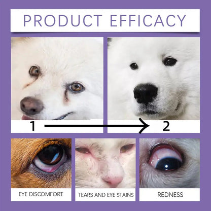 🔥Hot Sale 50% OFF🔥 Gentle Pet Eye Rinse for Dogs & Cats – Alcohol-Free, Flushes Debris, 150ml 🐶