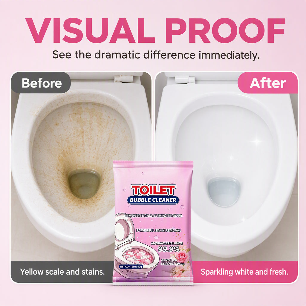 Toilet cleaning powder