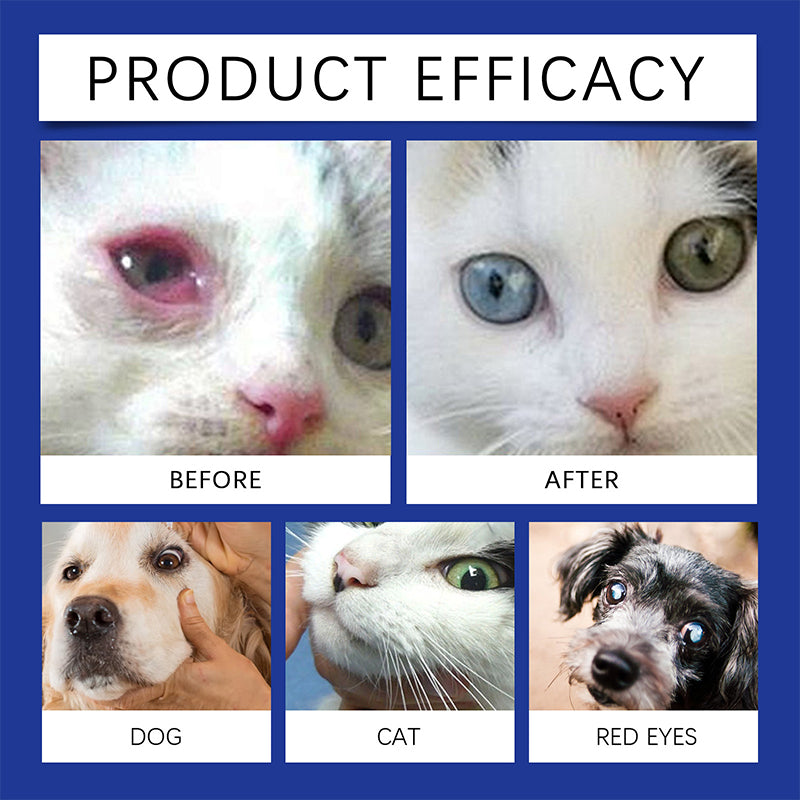 Universal Pet Eye Drops for Dogs and Cats