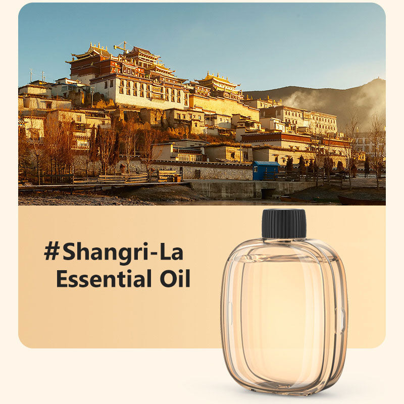 🌹2026 HOT SALE-50% OFF🥳Freshen Any Room Instantly! 🪻No-Cord Timed Aroma Diffuser