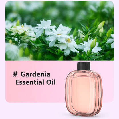 🌹2026 HOT SALE-50% OFF🥳Freshen Any Room Instantly! 🪻No-Cord Timed Aroma Diffuser