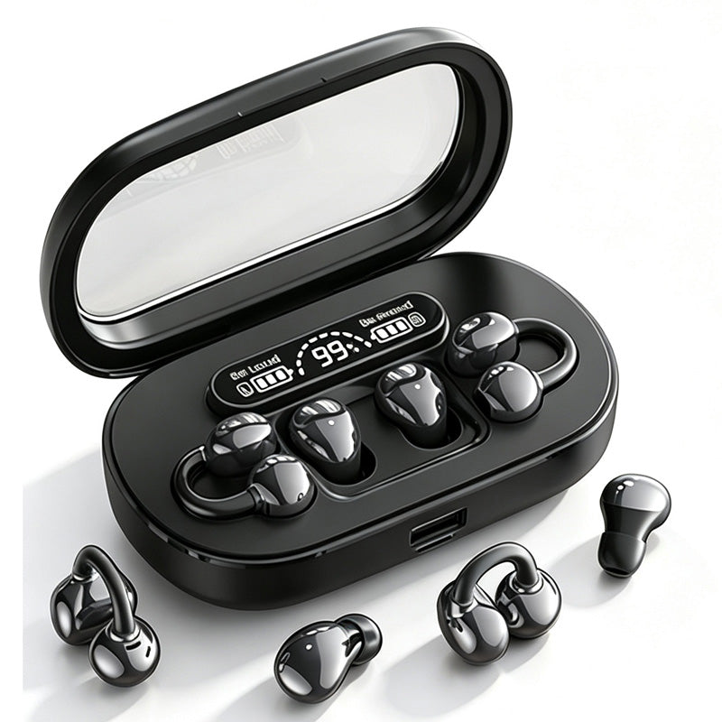 2-in-1 Wireless Earbuds with Digital Display