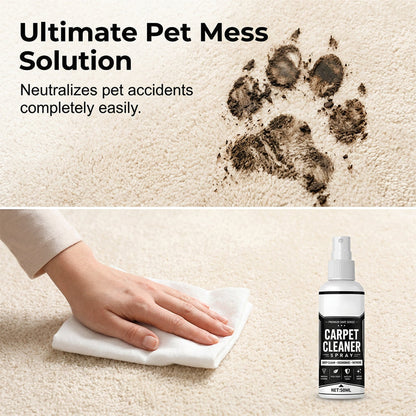 🔥Erase Stains Instantly! No-Scrub Deep Clean Carpet Spray