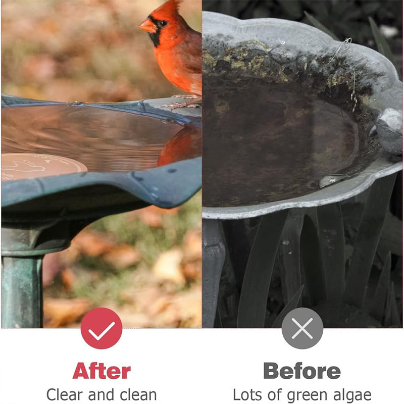 Bird Bath Disk