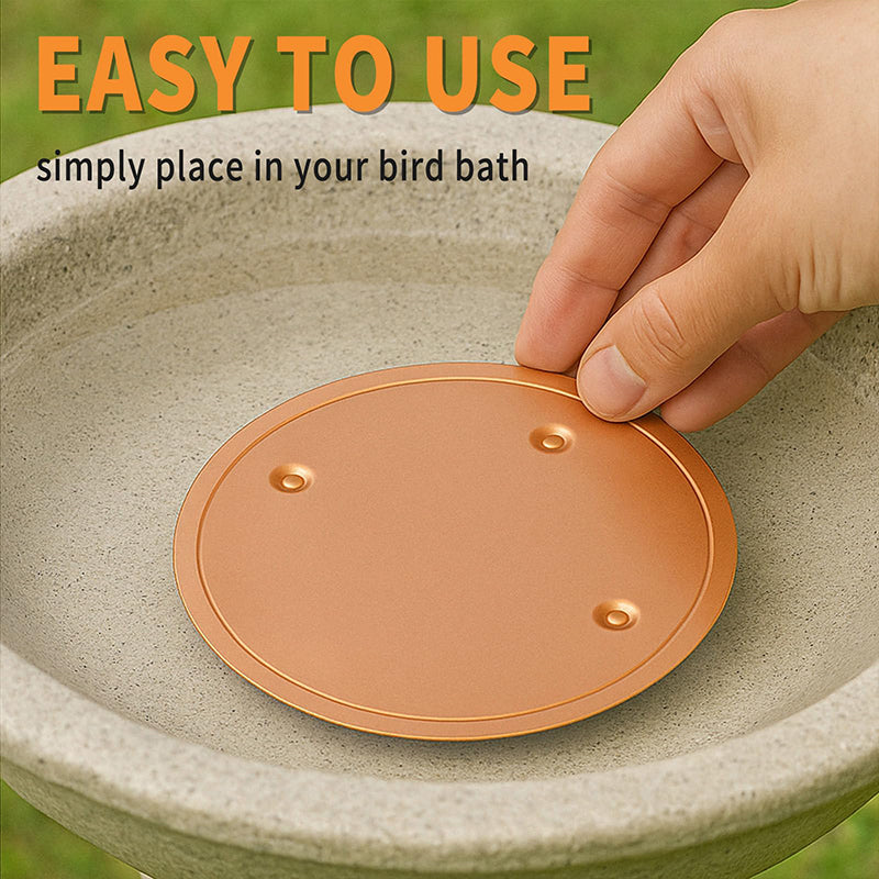 Bird Bath Disk