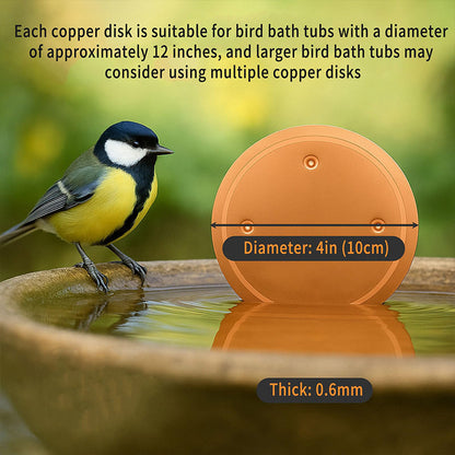 Bird Bath Disk