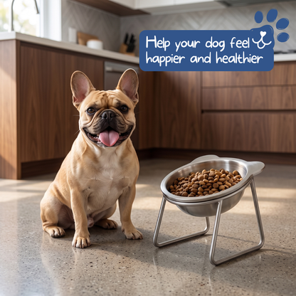 🐶2026 HOT SALE🥳💞50K+ SOLD! 🐱✨ 50% OFF!💥15° Tilted Orthopaedic Feeding Bowl🥣