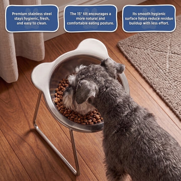 🐶2026 HOT SALE🥳💞50K+ SOLD! 🐱✨ 50% OFF!💥15° Tilted Orthopaedic Feeding Bowl🥣