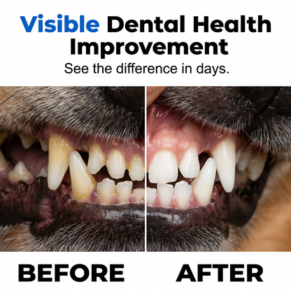 🐾50% OFF NOW! Gentle Pet Dental Cleaning Spray‑ Vet‑Formulated Tartar Remover Spray for Dogs & Cats, Safe Oral Care Solution to Eliminate Bad Breath & Reduce Plaque