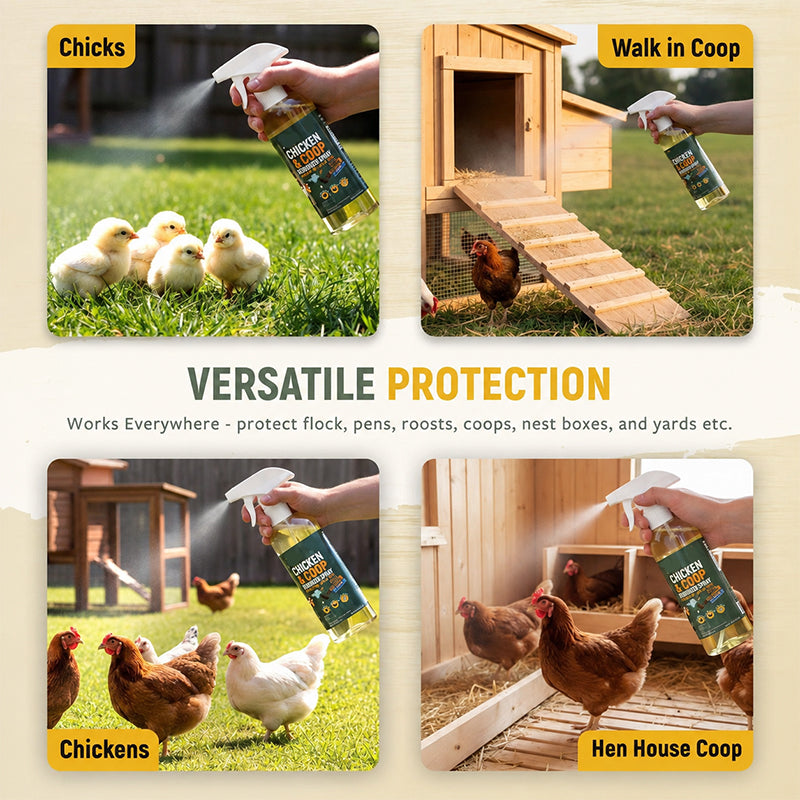 ❄️Summer Special: 50% Off!🐔Poultry & Chicken Coop Mite and Lice Spray – Ready to Use, 120 m