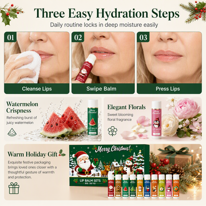 🎄Christmas Moisturizing Lip Balm Set
