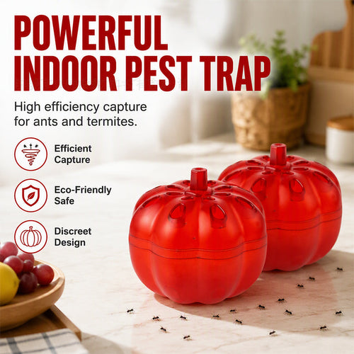 ⏳Limited-time 50% off⏰Pumpkin Shaped Indoor Fruit Fly Trap (2Pcs/Pack)🍅🪰