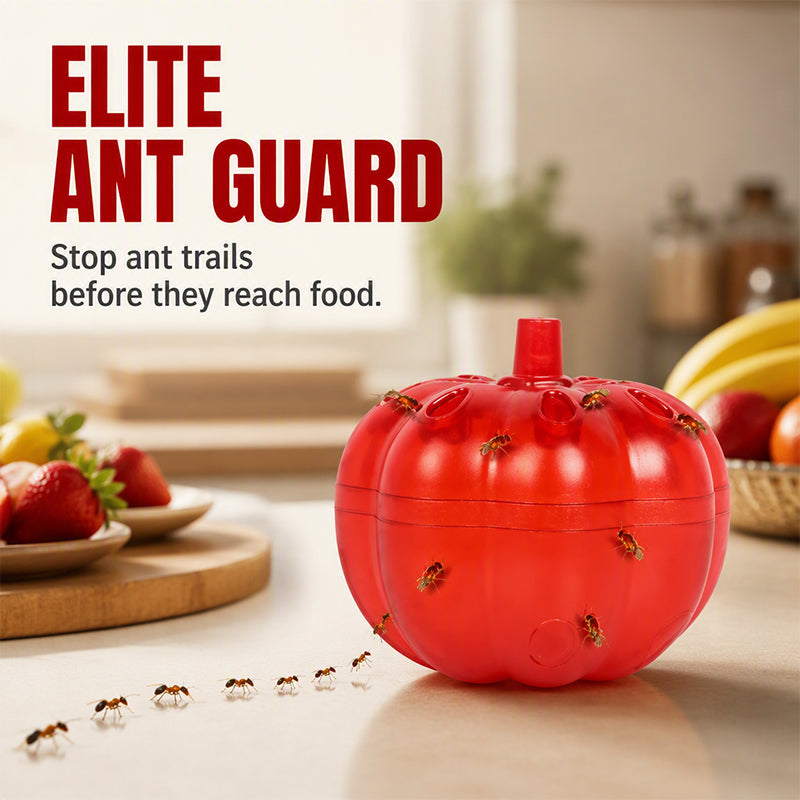 ⏳Limited-time 50% off⏰Pumpkin Shaped Indoor Fruit Fly Trap (2Pcs/Pack)🍅🪰